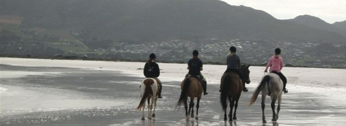 Cape Town Horse Riding